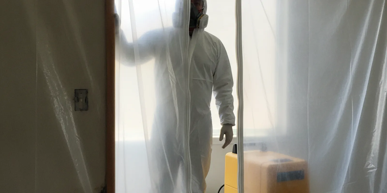Mold Remediation